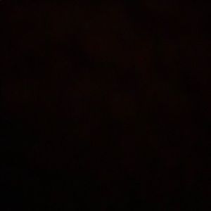 Meet your Posher, Will